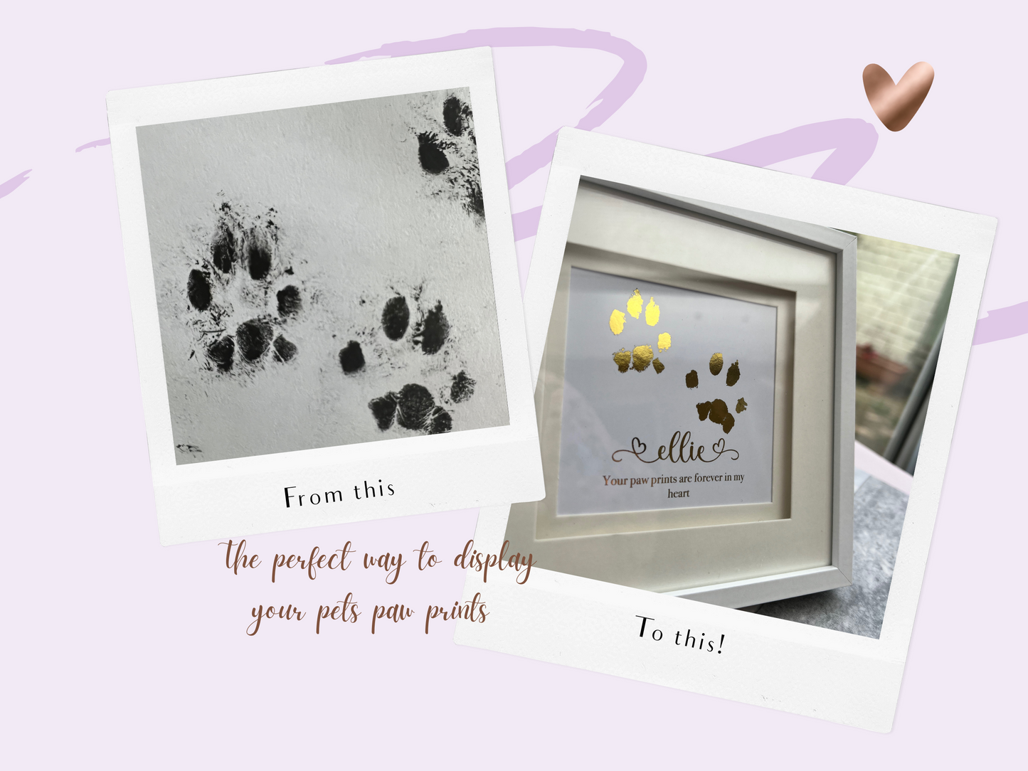 Personalised foil paw print your pets paw print foiled with quote