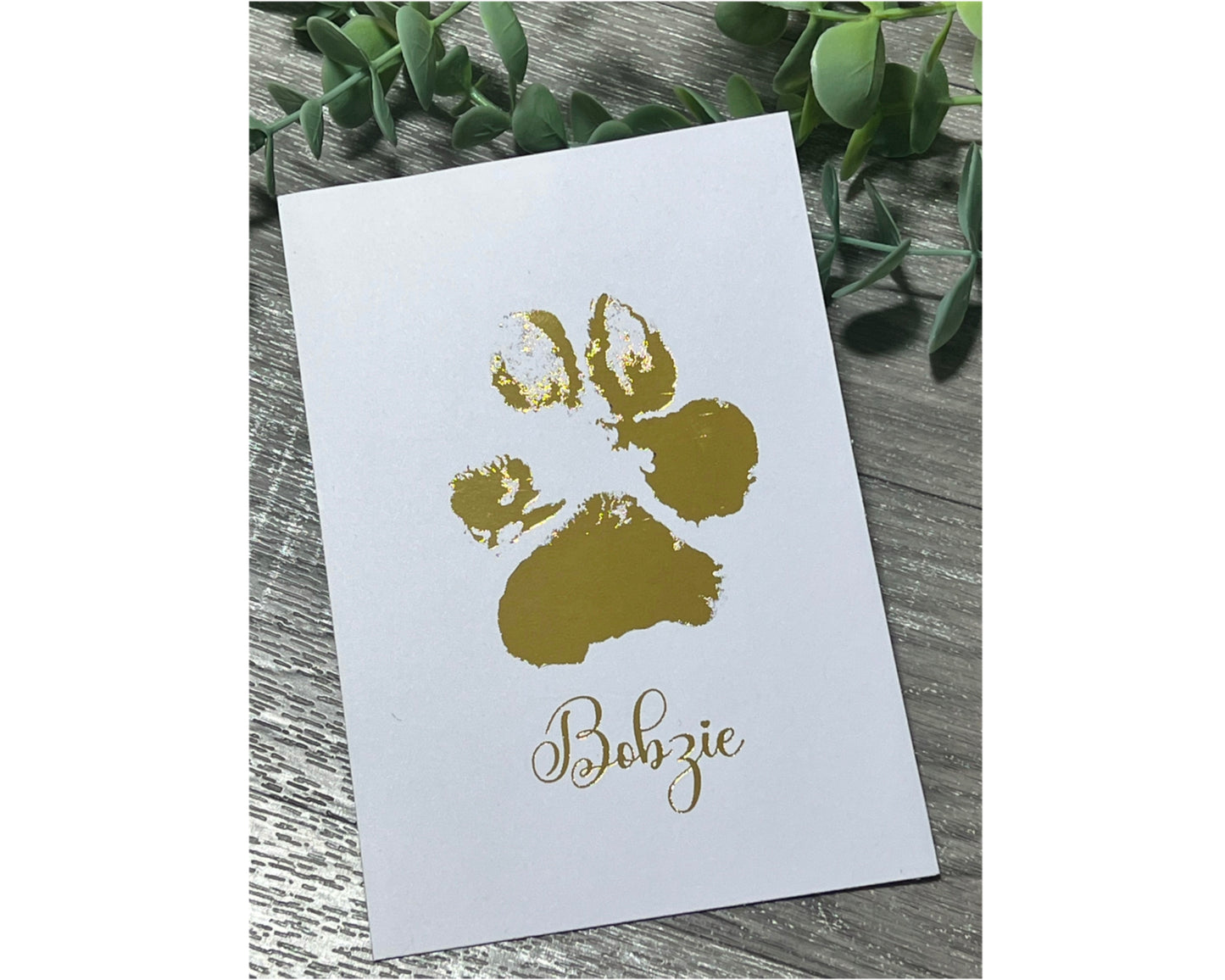 Mixed paw and hand print